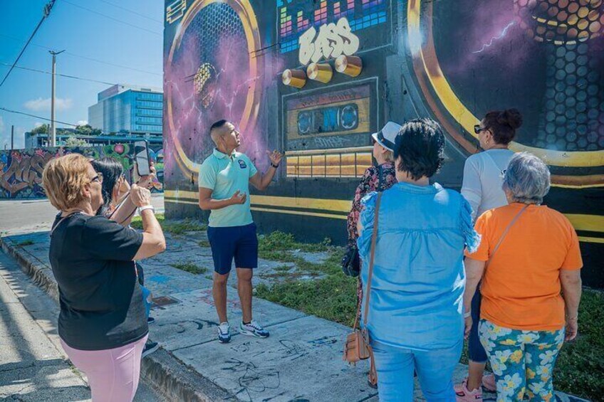 Miami Cultural city tour, Little Havana & Wynwood exploration