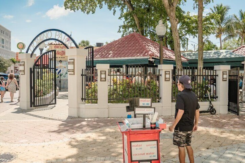 Miami Cultural city tour, Little Havana & Wynwood exploration