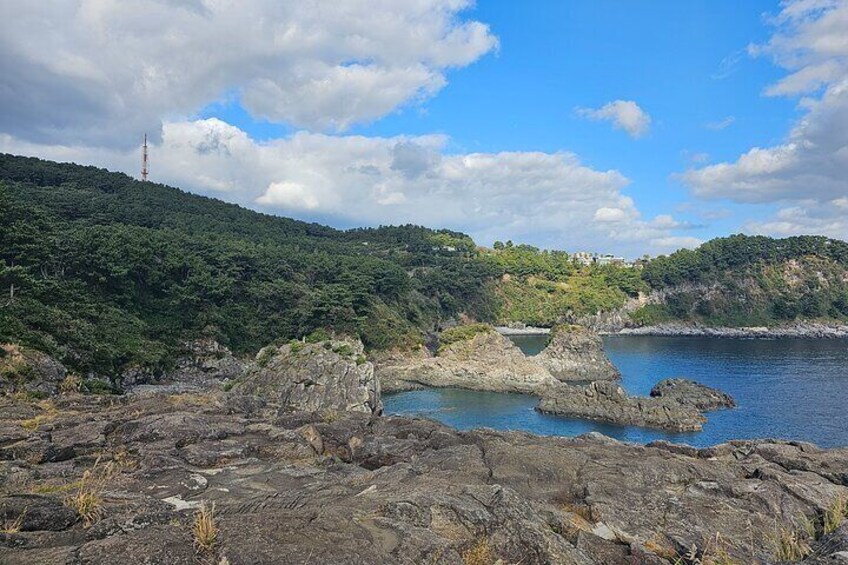 Jeju Private Taxi Tour - UNESCO For Cruise customer (Regular/Van)