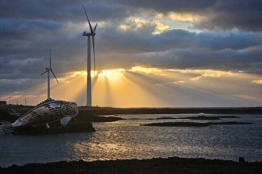 Jeju Private Taxi Tour - UNESCO For Cruise customer (Regular/Van)