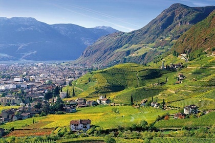 Private Tour The ultimate South Tyrol wine & food experience