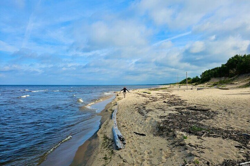 Four Natural Ecosystems In One Hike