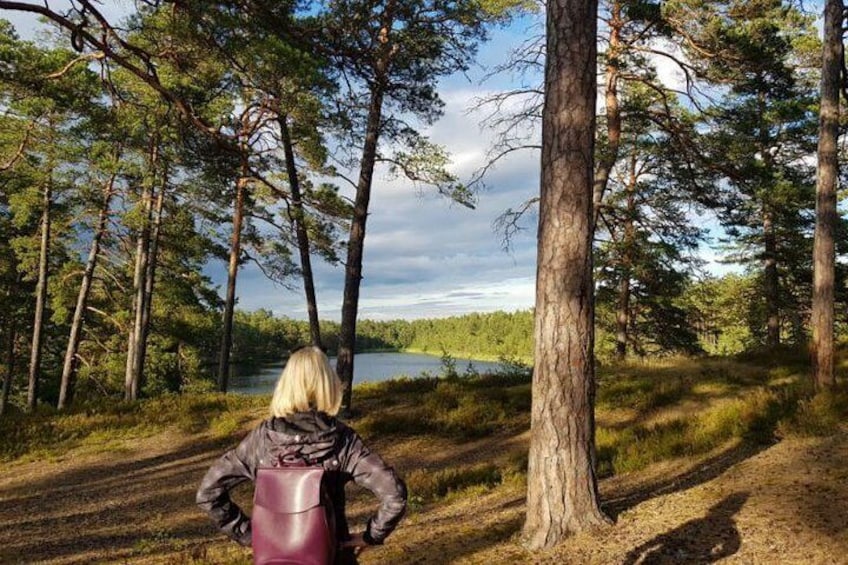 Four Natural Ecosystems In One Hike