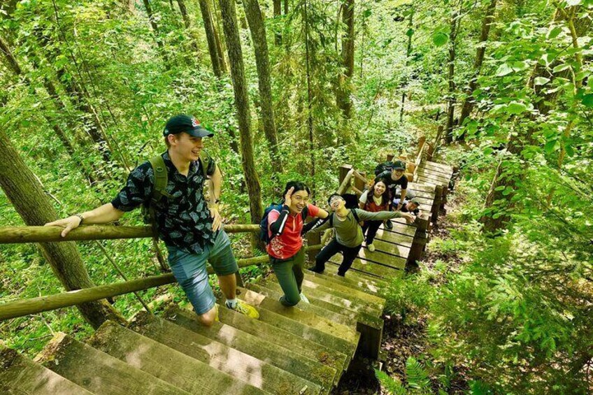 Discover Best Of Gauja National Park In One Day