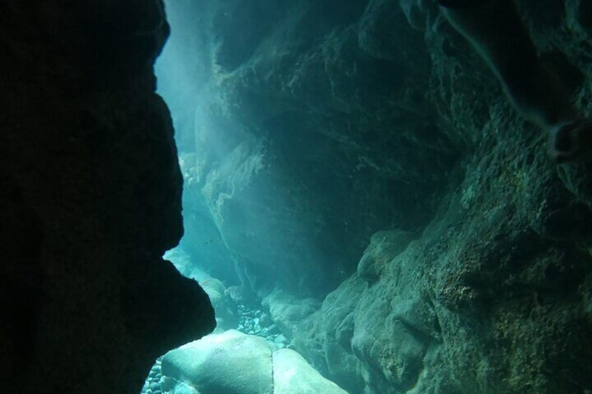 Snorkelling at 5 TERRE