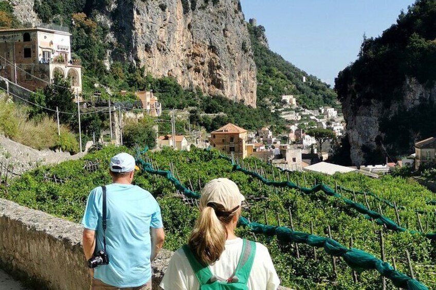 Amalfi Valle delle Ferriere nature reserve private tour