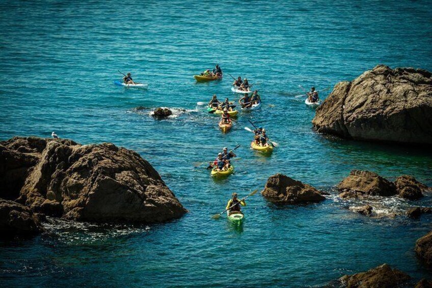 3 Hour of Sea Kayak Trip in the Creeks of Sete