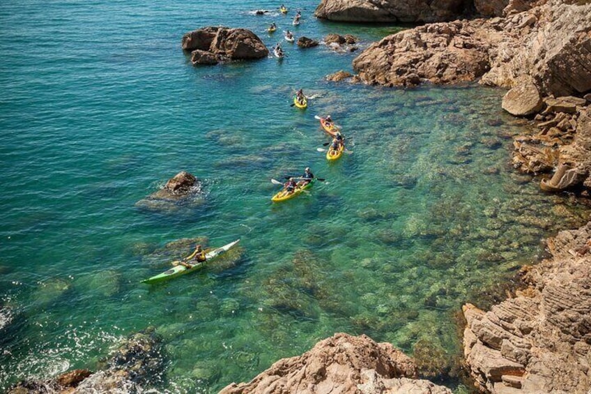 3 Hour of Sea Kayak Trip in the Creeks of Sete