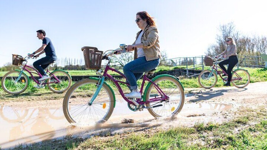 Original Bike Tour - fun on a bike