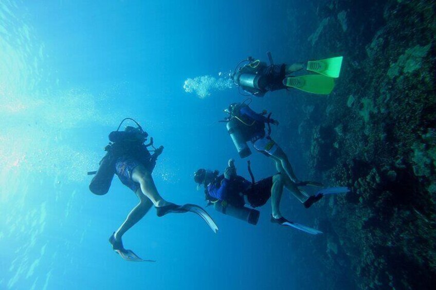 Under a sea of adventures, unforgettable diving. 