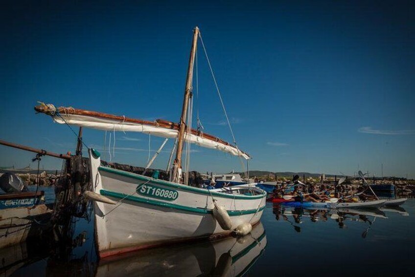 3 Hour Sea Kayak Trip in the Canals of Sete
