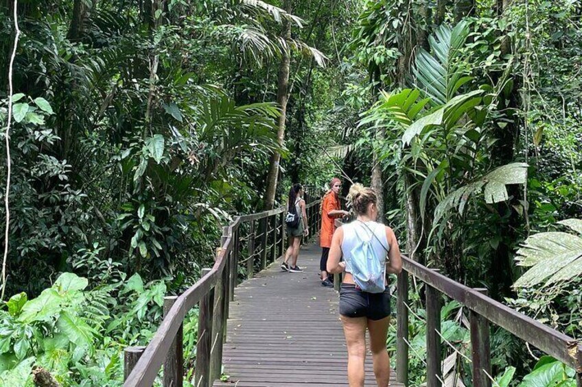 Nature & Forest Therapy Guided Walking in Costa Rica 