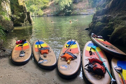 Stand-up-Paddle tour in Paiva river
