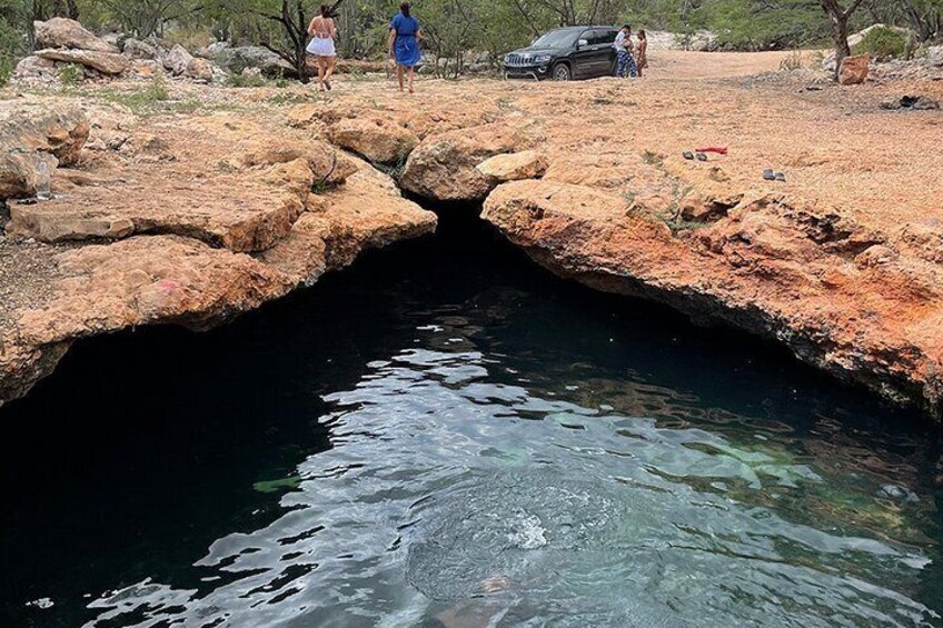 Bahía de las Águilas + City Tour Pedernales, ¡TODO INCLUIDO!