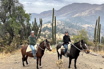 Private Andes Horse Riding with Cheese and Wine. Near Santiago