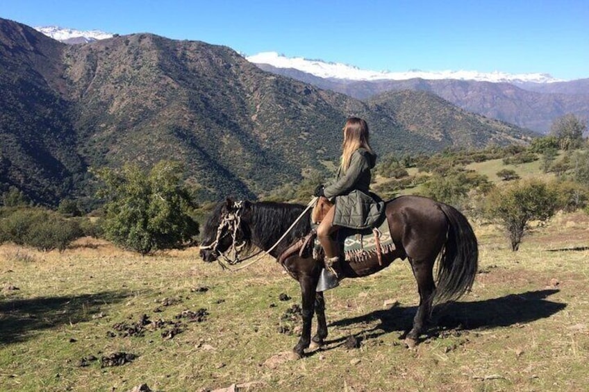 Andean Foothills Horse Riding - Half Day