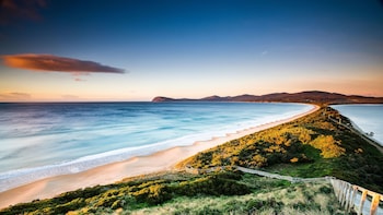 Bruny Island Full-Day Tour from Hobart