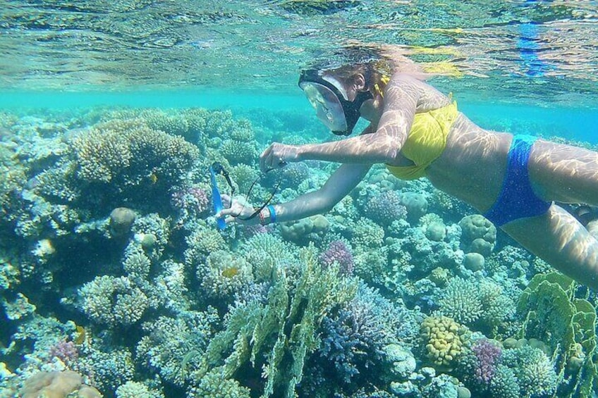 Dolphin House Sea Trip with Water Sport and Lunch in El Gouna