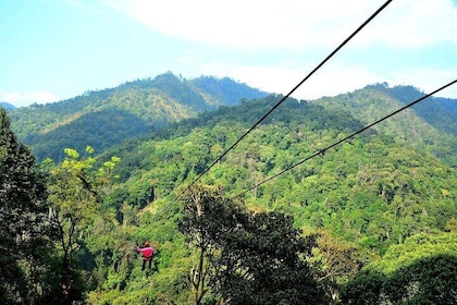 Chiang mai Private Tour Zipline Mae Kam Pong and Nature Hotspring