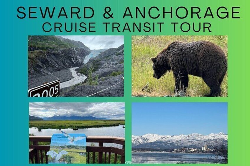 Full-Day Private Seward Cruise Transit Tour 