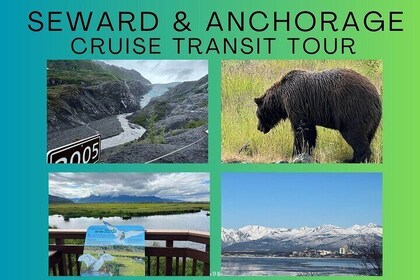 Full-Day Private Seward Cruise Transit Tour