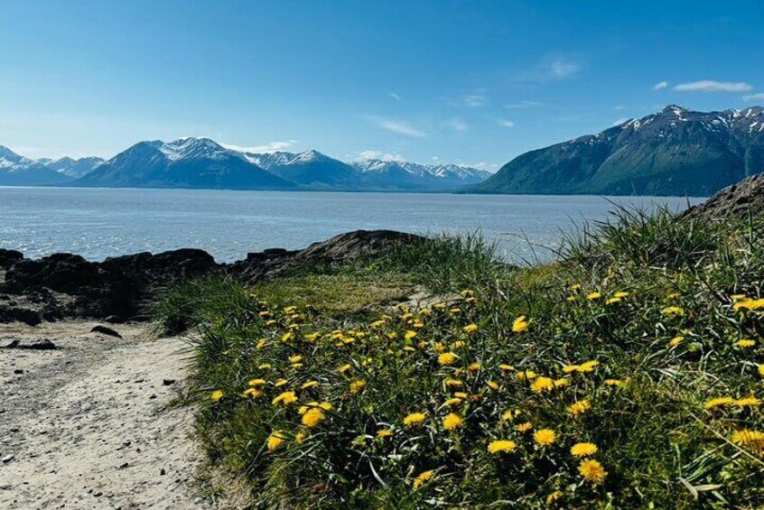 Beluga Point 