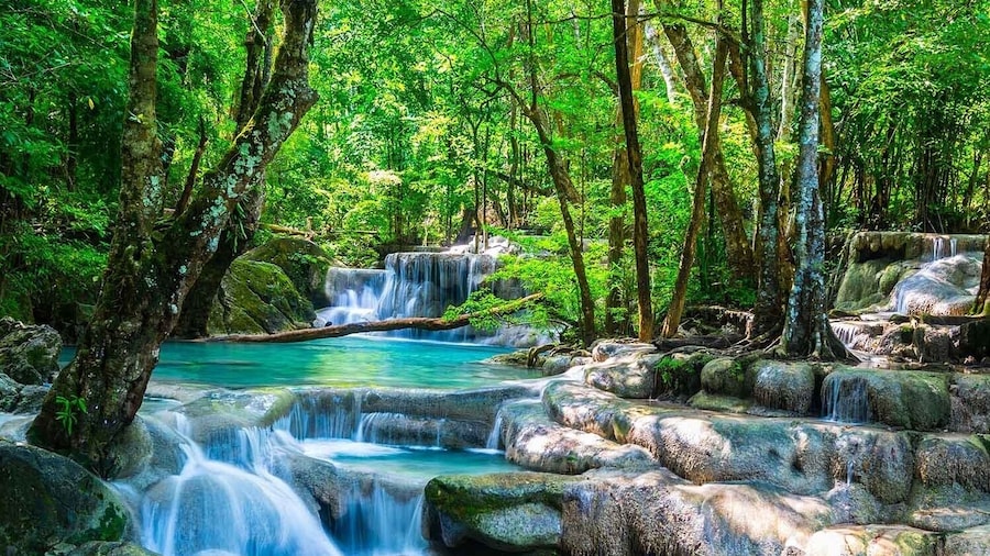 Kanchanaburi from Bangkok: An Adventure into History and Nature - Private