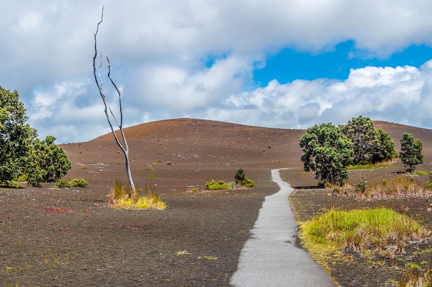 Hawaii Volcanoes National Park Self-Guided Driving Audio Tour