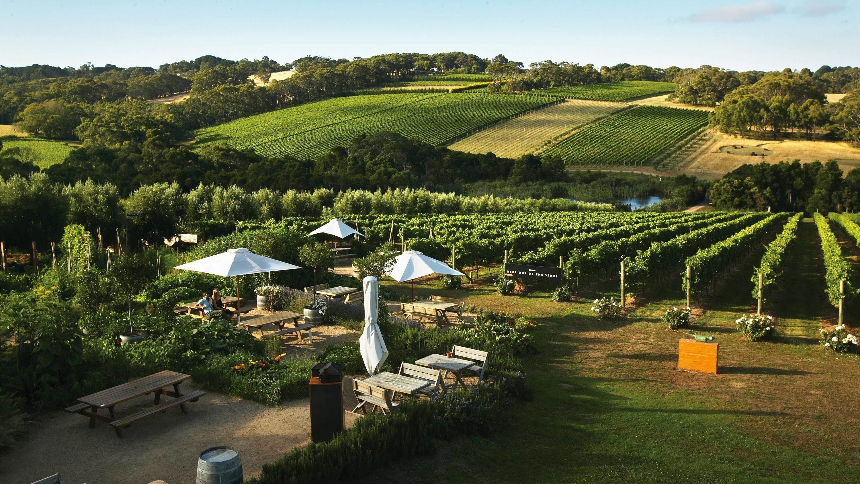 Mornington Peninsula Discovery Tasting at Montalto Vineyard