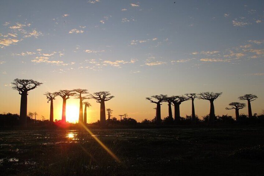 11 Days Discover Madagascar Lemurs, Baobabs and Tsingy