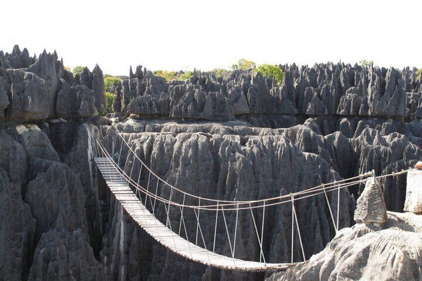 11 Days Discover Madagascar Lemurs, Baobabs and Tsingy