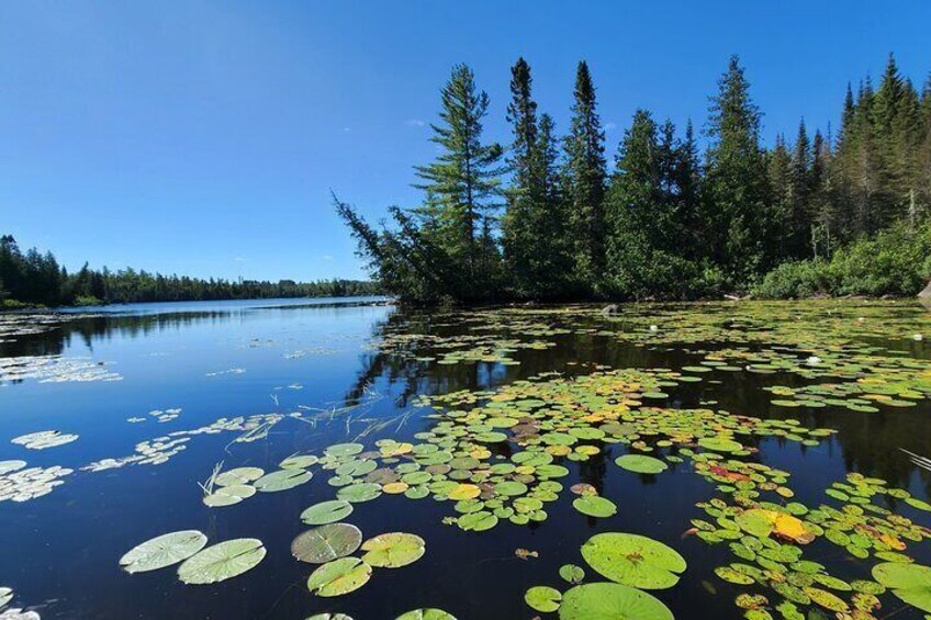 Boundary Waters Day Trips, Lutsen/Grand Marais