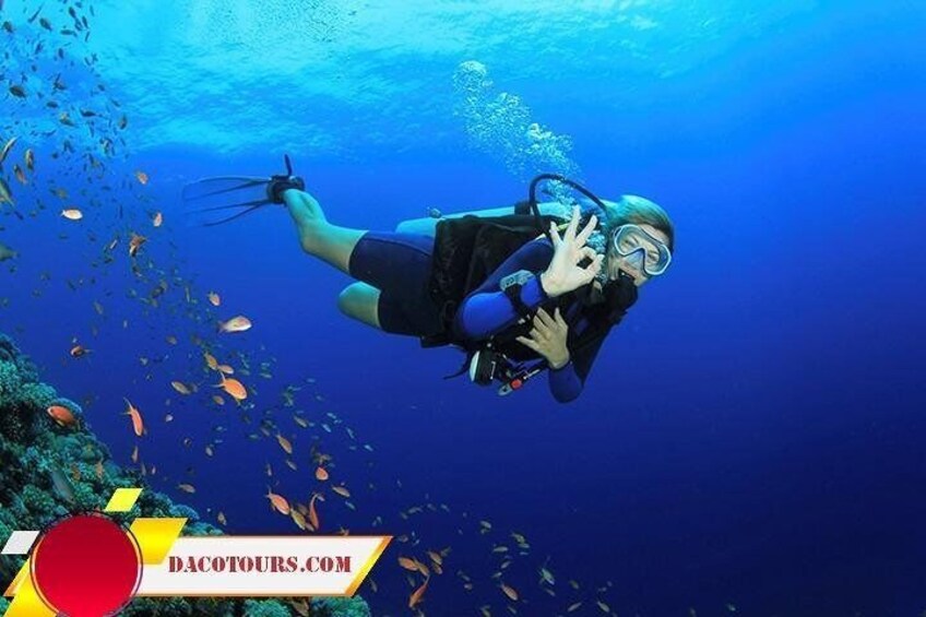 Cham Island Snorkeling and Diving Private Tour