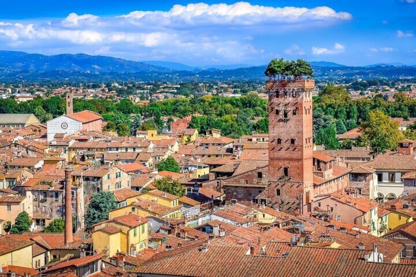 Lucca, Pisa and Livorno from Florence Private Car Tour