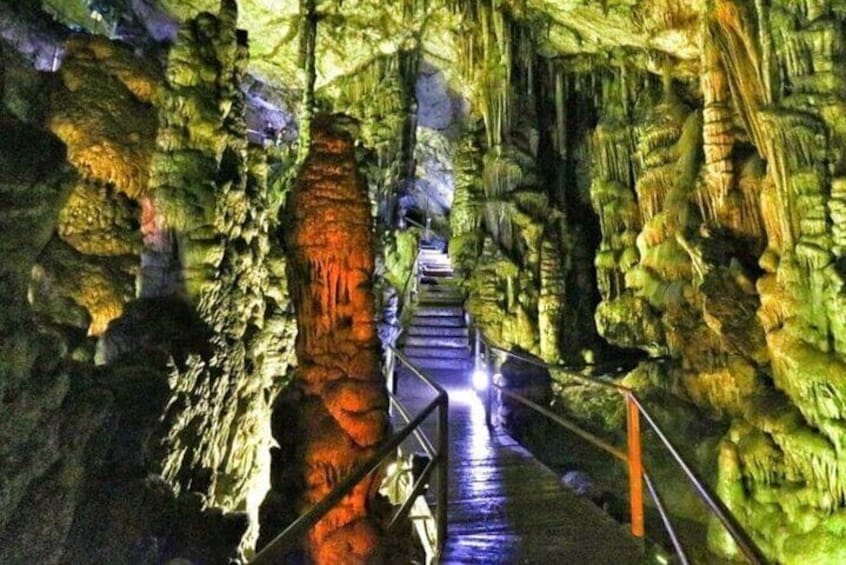 Private Family Full Day Tour specially designed for kids fun