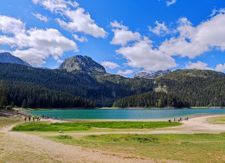 Montenegro: Durmitor, Black Lake, Tara, and Moraca Day Trip