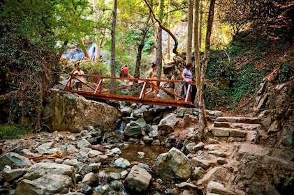 喀裡多尼亞瀑布全日遊覽，包括帕福斯的午餐