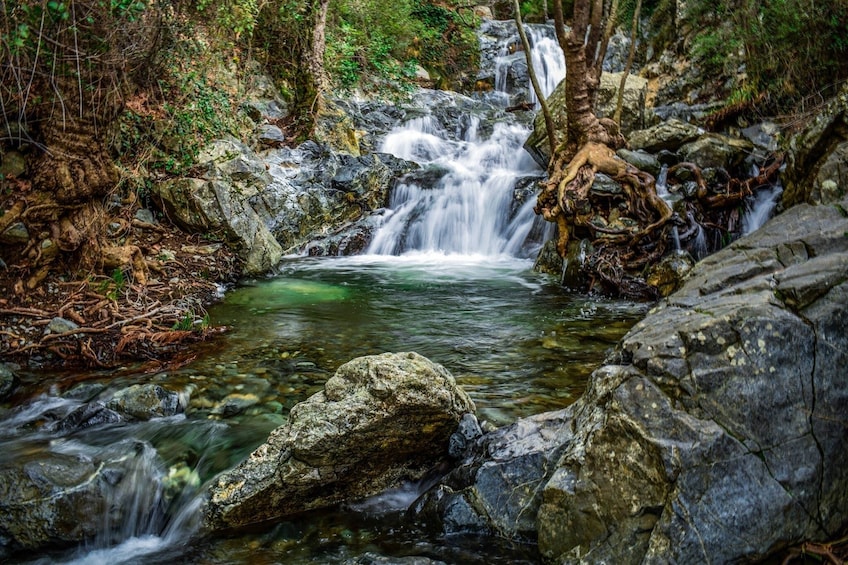 Caledonia Waterfalls Tour