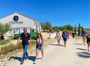 Lavender Field & Distillery Tour between Nimes & Arles