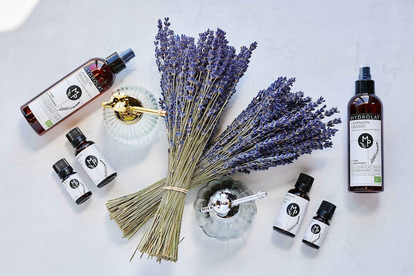 Picture 3 for Activity Lavender Field & Distillery Tour between Nimes & Arles