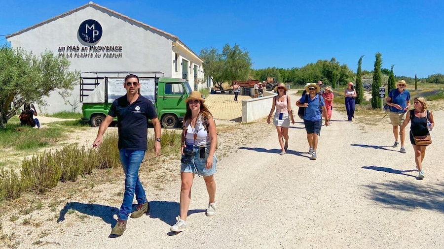 Lavender Field & Distillery Tour between Nimes & Arles