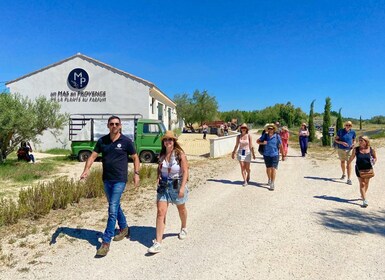 Recorrido por el campo de lavanda y la destilería entre Nimes y Arles