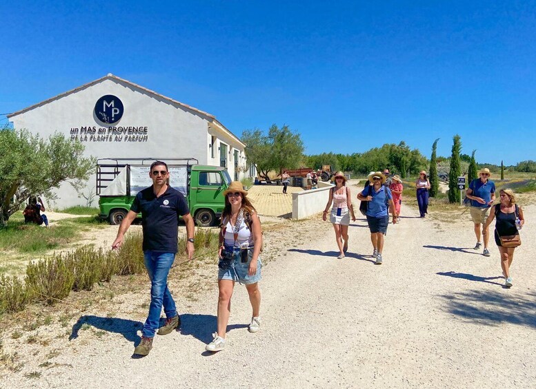 Lavender Field & Distillery Tour between Nimes & Arles