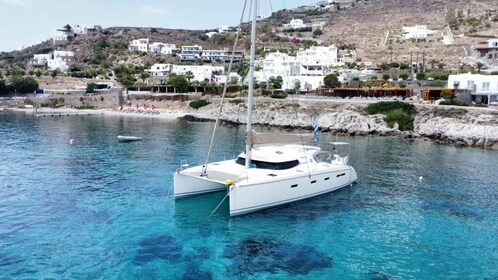 Mykonos: Crucero privado en catamarán a Delos/Renia con barbacoa