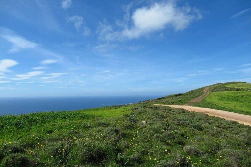 Quad or Buggy Tour from Coral Bay to Adonis Baths