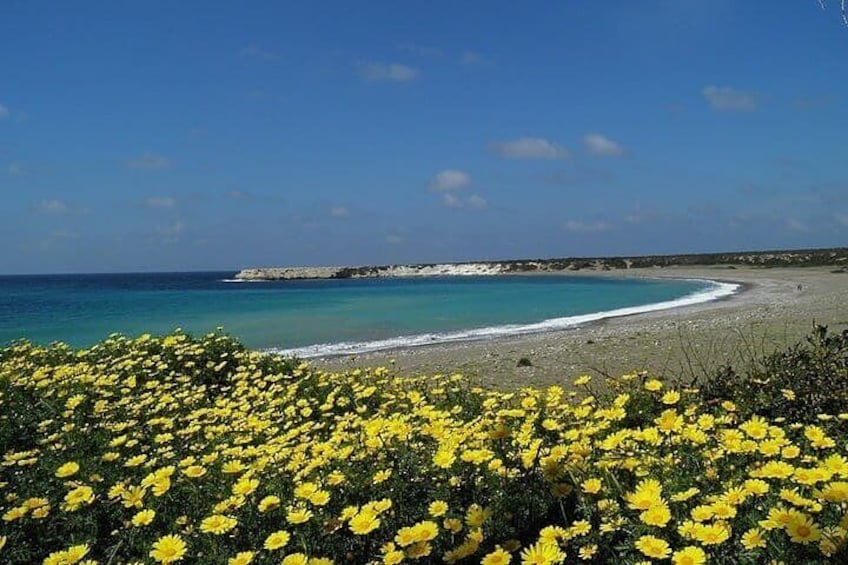 Quad or Buggy Tour from Coral Bay to Adonis Baths