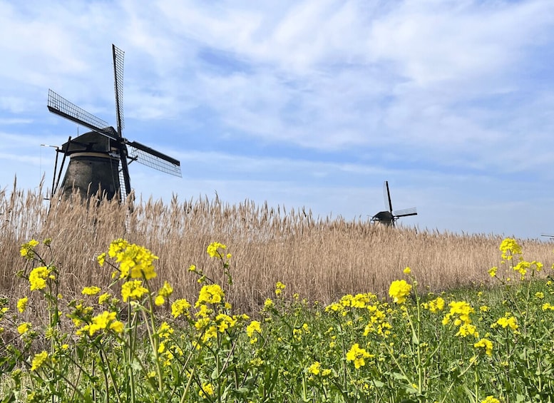 Picture 3 for Activity Rotterdam: Waterbus Ticket to Dordrecht and/or Kinderdijk