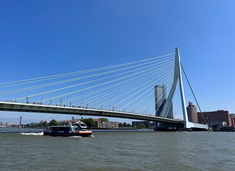 Rotterdam: Waterbus Ticket to Dordrecht and/or Kinderdijk