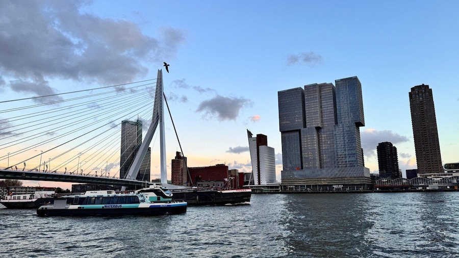 Rotterdam: Waterbus Ticket to Dordrecht and/or Kinderdijk