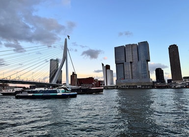 Rotterdam: Vattenbussbiljett till Dordrecht och/eller Kinderdijk